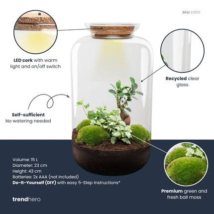 Sven XL Hedera - DIY Planten terrarium - Ecosysteem plant - Ø 23 cm ↑ 43 cm