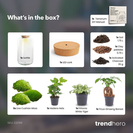 Sven XL Hedera - DIY Planten terrarium - Ecosysteem plant - Ø 23 cm ↑ 43 cm
