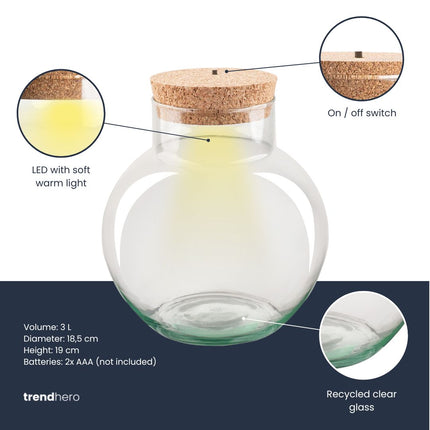 Terrarium fles ‘Noah’ met kurk - Gesloten terrarium Ø 18,5 cm ↑ 19 cm