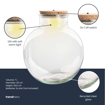Terrarium fles 'Teddy' - Incl. (LED) kurk - Gesloten terrarium Ø 25 cm ↑ 26,5 cm