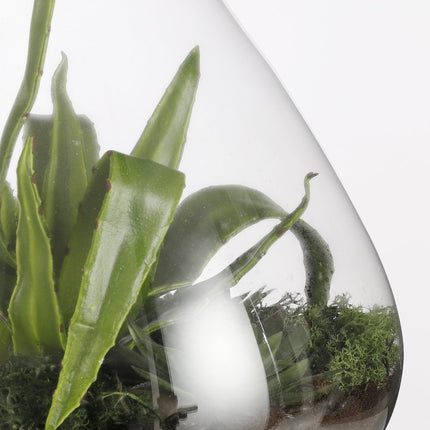 Emily Terrarium of Voorraadpot - H32 x Ø29,5 cm - Gerecycled Glas - Transparant