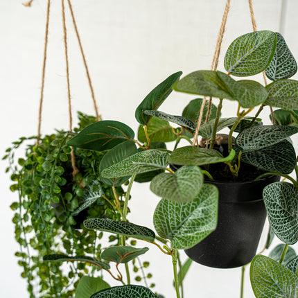Hangplanten in pot met touw - 2 stuks - Kunstplanten - Bundle set