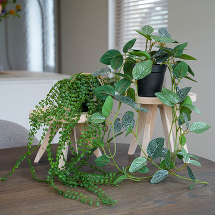 Hangplanten in pot met touw - 2 stuks - Kunstplanten - Bundle set