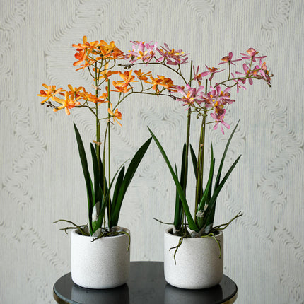 Renanthera orchidee Mix - 2 stuks - Kunstplanten - Bundel set
