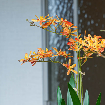 Renanthera orchidee Mix - 2 stuks - Kunstplanten - Bundel set