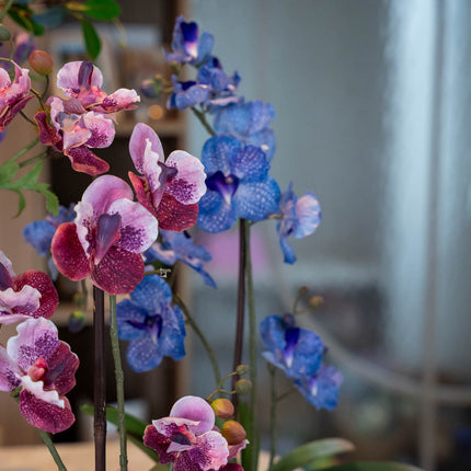 Orchidee Vanda mix - 2 stuks - Kunstplanten - Bundelset