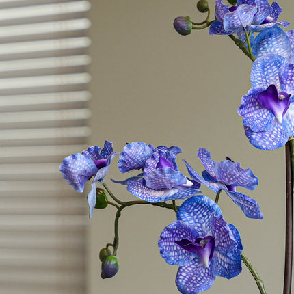 Orchidee Vanda mix - 2 stuks - Kunstplanten - Bundelset