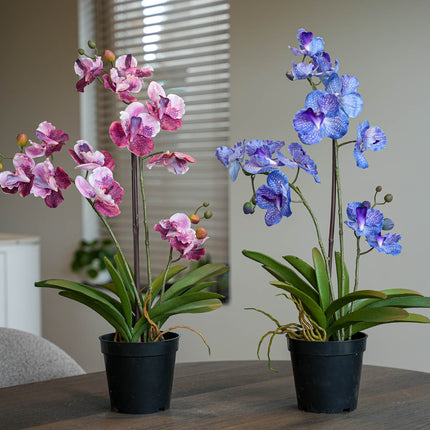 Orchidee Vanda mix - 2 stuks - Kunstplanten - Bundelset