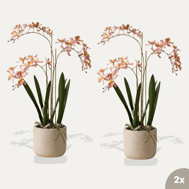 Renanthera orchidee roze 2 stuks - Bundelproduct - Kunstplanten