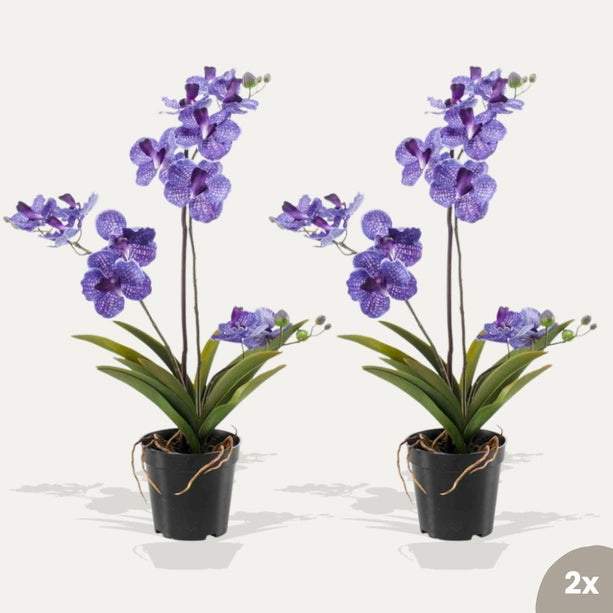 Orchidee Vanda paars 2 stuks - Bundelproduct - Kunstplanten