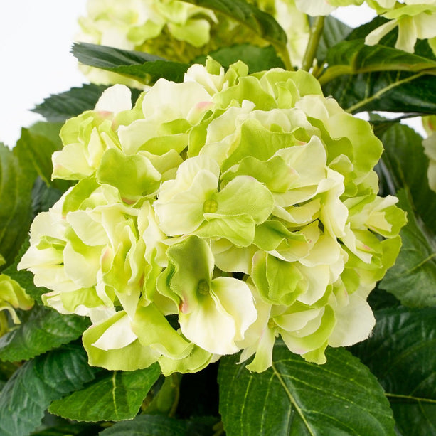 Hortensia Kunstplant in Bloempot Stan - H45 x Ø45 cm - Groen