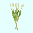 Tulpen boeket - 5 stuks - Wit/groen - 'Real Touch' Kunst tulpen - 42 cm (white/green)