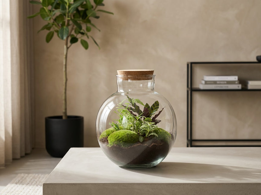 Bolder Bob - DIY Planten terrarium -  Ecosysteem plant - Ø 31 cm ↑ 30 cm