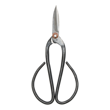 Bonsai shears L - 19 cm - Bonsai tool