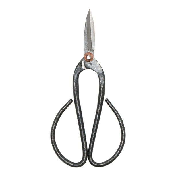 Bonsai shears L - 19 cm - Bonsai tool