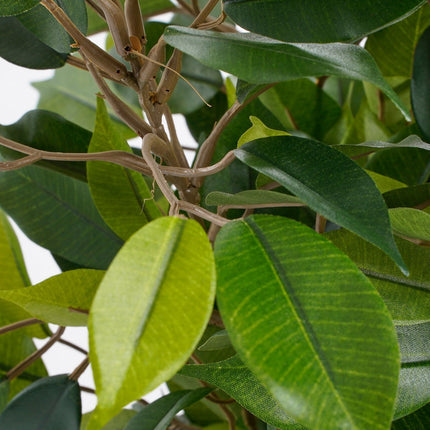 Ficus Natasja Kunstplant in Bloempot Stan - H40 x Ø30 cm - Groen