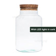 Terrarium fles met kurk - Milky led lamp - Gesloten terrarium ↑31 cm