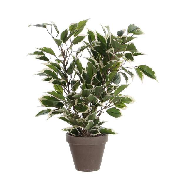 Ficus Natasja Kunstplant in Bloempot Stan - H40 x Ø30 cm - Groen Bont