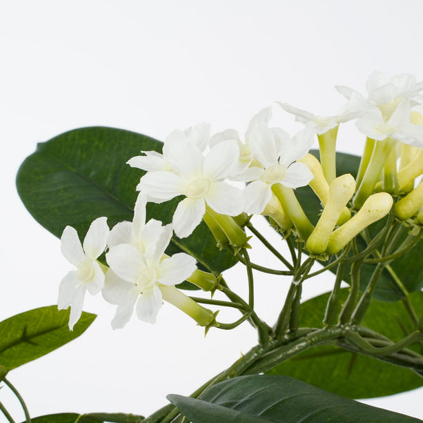 Stephanotis Kunstplant in Bloempot Stan - H50 x Ø40 cm - Wit