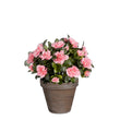 Azalea Kunstplant in Bloempot Stan - H31 x Ø26 cm - Perzik