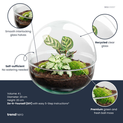 Dome - DIY Planten terrarium - Tweedelig bolglas - Ecosysteem plant - Ø 20 cm ↑ 20 cm