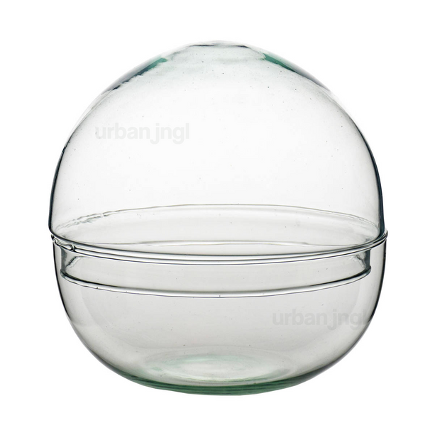 Gesloten terrarium fles - Dome - Bolglas - Stolp - ↑ 20 cm