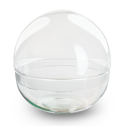 Terrarium fles 'Dome XL' - Tweedelig bolglas - Gesloten terrarium Ø 28 cm ↑ 28 cm