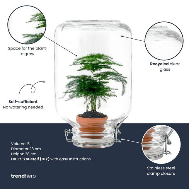 Easyplant - DIY Planten terrarium - Weckpot - Ecosysteem plant - Ø 18 cm ↑ 28 cm