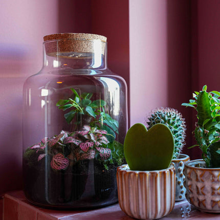 'LOVE MOM' terrarium Little Milky + gegraveerde kurk met licht - Flessentuin - DIY kit - Ø 17 cm ↑ 25 cm - Moederdag
