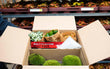 Heat Pack 72 uur - Winter tip