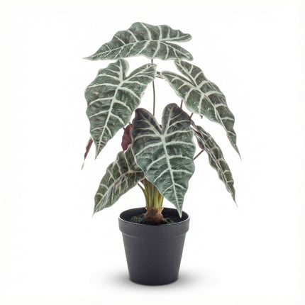 Alocasia bush in pot 40 cm - Kunstplant