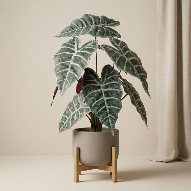 Alocasia bush in pot 40 cm - Kunstplant