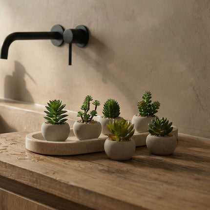 Mini vetplanten in cementen pot - Kunstplant - Succulent mix set 6 - Ø 6,5