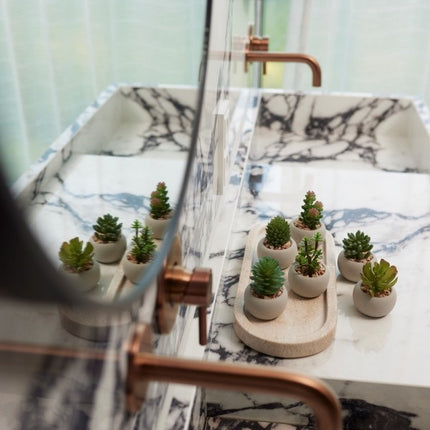 Mini vetplanten in cementen pot - Kunstplant - Succulent mix set 6 - Ø 6,5
