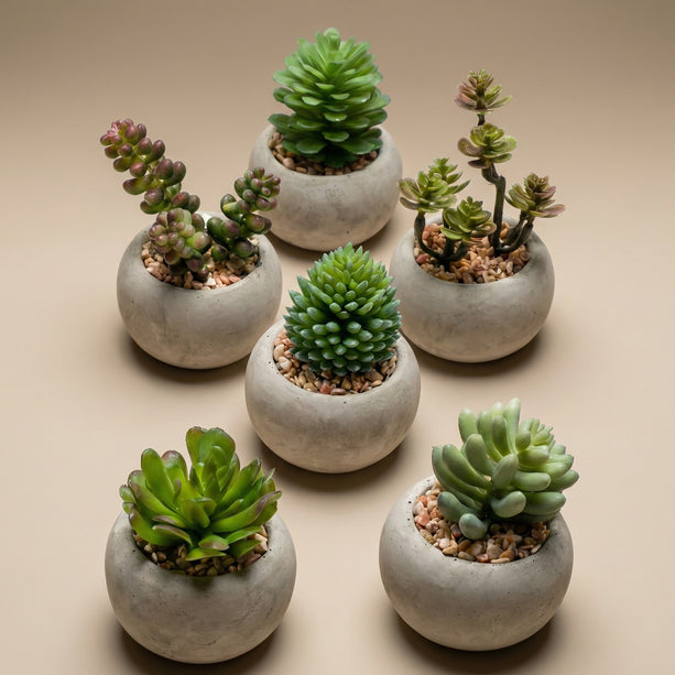 Mini vetplanten in cementen pot - Kunstplant - Succulent mix set 6 - Ø 6,5