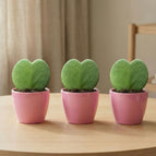 Roze pot