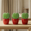Sweetheart Plant Set - Pot & Plant Set 3x - Rood of Roze