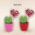 Set van 2 (roze & rood)