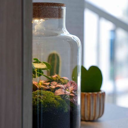 'LOVE MOM' terrarium Little Milky + gegraveerde kurk met licht - Flessentuin - DIY kit - Ø 17 cm ↑ 25 cm - Moederdag