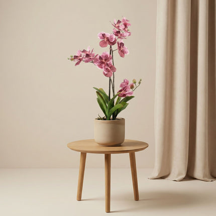 Orchidee Vanda Oudroze - Kunstplant in zwarte pot - 60 cm