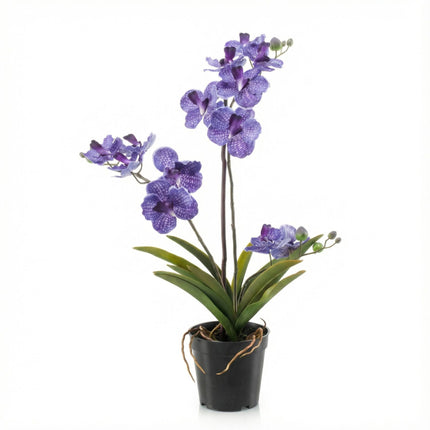 Orchidee Vanda Paars - Kunstplant in zwarte pot - 60 cm