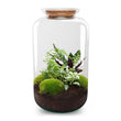 Sven XL Botanisch - DIY Planten terrarium - Ecosysteem plant - Ø 23 cm ↑ 43 cm