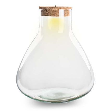 Terrarium fles met verlichting - Sam XL - ↑ 32 cm