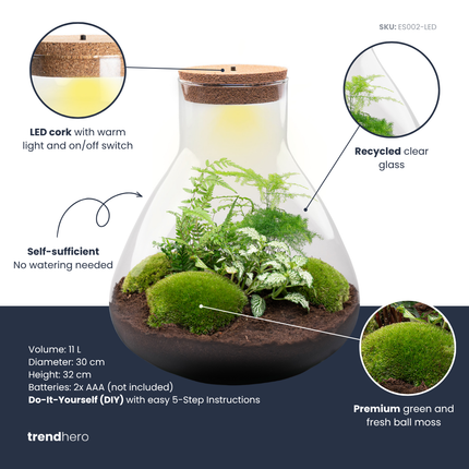 Sam XL Green - DIY Planten terrarium - Ecosysteem plant - Ø 30 cm ↑ 32 cm