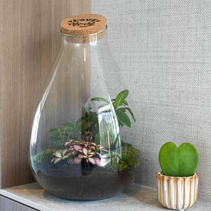 'LOVE MOM' terrarium Drop XL + gegraveerde kurk - Flessentuin - DIY kit – Ø 24 cm ↑ 37 cm - Moederdag