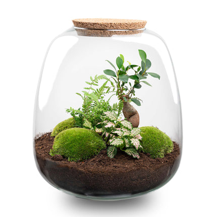 Planten terrarium - Emma - DIY kit - ↑ 25 cm - Ø 23 cm