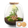 Planten terrarium - Emma - DIY kit - ↑ 25 cm - Ø 23 cm