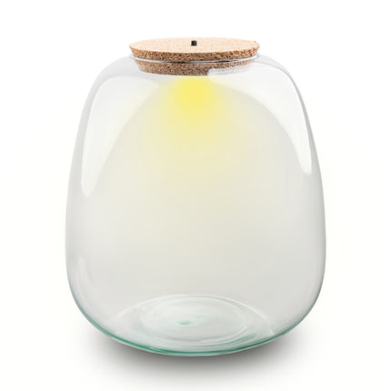 Terrarium fles ‘Emma' - Incl. LED-kurk - Gesloten terrarium Ø 23 cm ↑ 25 cm