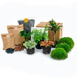 Planten terrarium pakket - Jungle 5 - Coffea - Varen - Palm - 2x Fittonia - Navulling & Startpakket- DIY