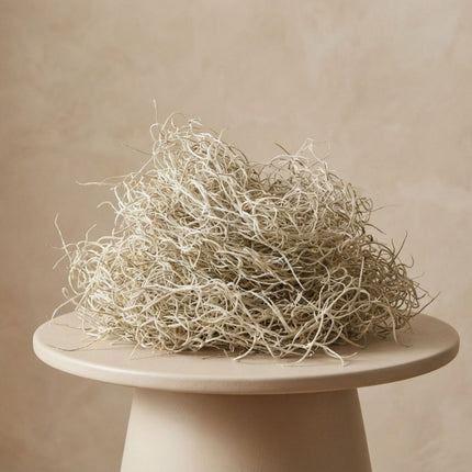 Gedroogd Tillandsia Mos – 1L – Alleen voor decoratief gebruik – Zak van 25 cm
